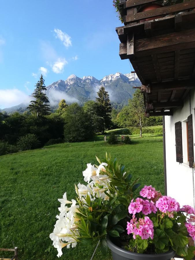 B&B Il Crogiolo Bosentino Exterior photo